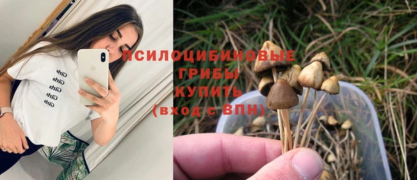 дживик Алзамай