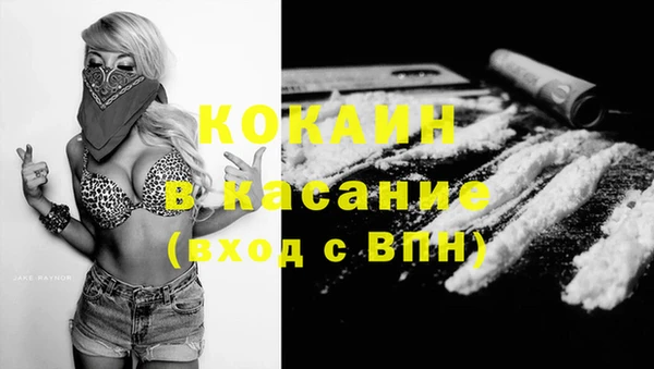дживик Алзамай
