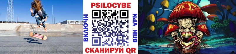где найти наркотики  Любим  Галлюциногенные грибы мицелий 